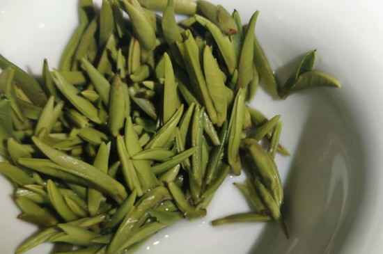 竹葉青茶怎么泡，竹葉青如何沖泡