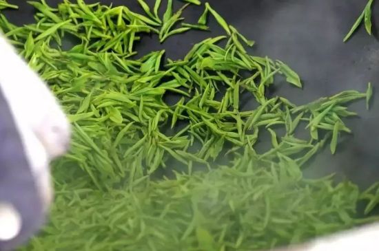 碧螺春為什么泡水渾濁，碧螺春茶葉泡水感覺(jué)很臟是混濁的
