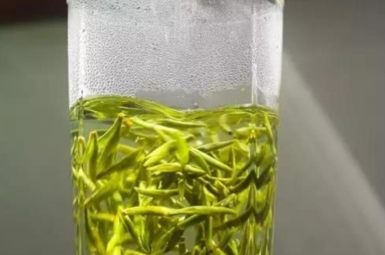 西湖龍井茶毫和發(fā)霉區(qū)別圖片，長霉的龍井茶葉會是什么樣？