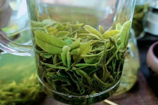 什么綠茶味道濃香，那個綠茶比較濃香？