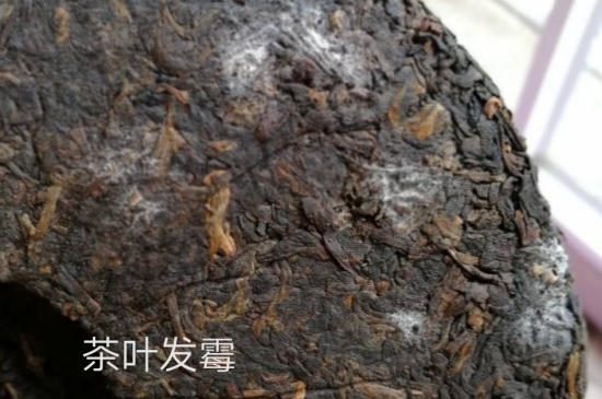 西湖龍井茶毫和發(fā)霉區(qū)別圖片，長霉的龍井茶葉會是什么樣？